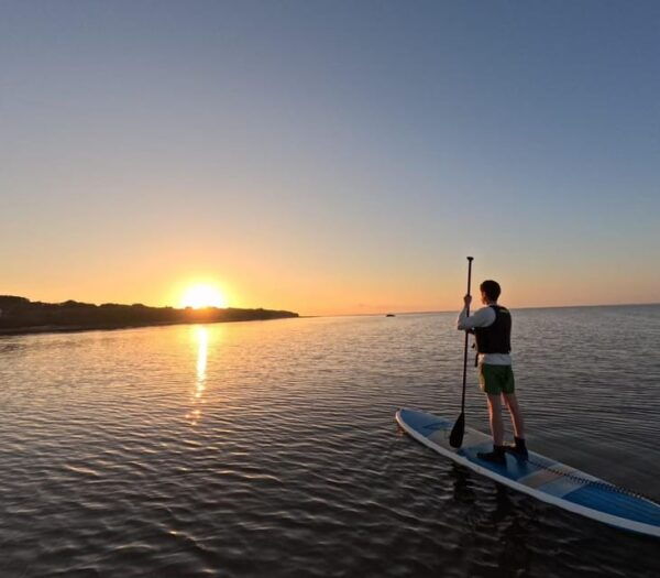 Stand Up Paddleboard: Amazing Sunrise at Mangrove River - Practical Tips for Your Journey