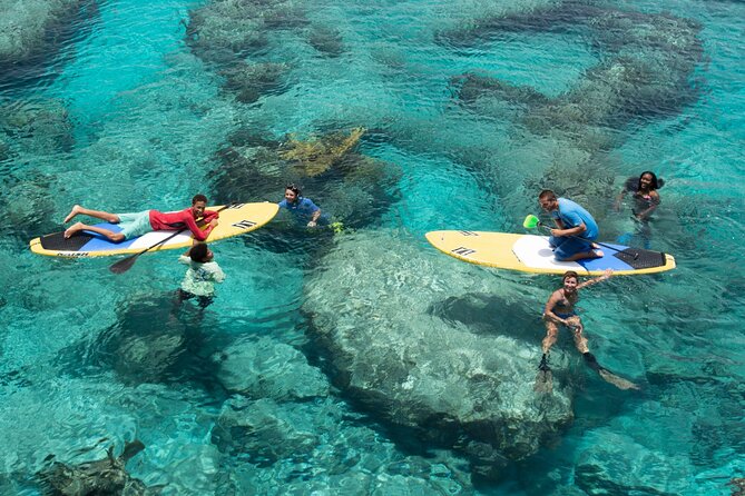 Stand up Paddleboard Eco Tour - Good To Know