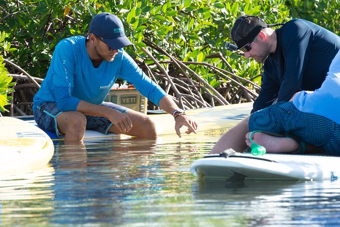 Stand up Paddleboard Eco Tour - Traveler Reviews