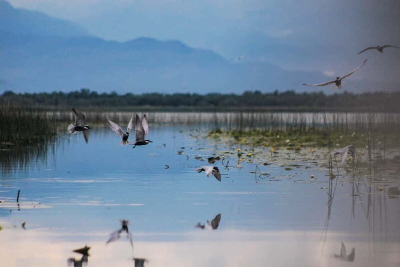 Stand Up Paddleboard on Skadar Lake - An Epic Adventure ! - Experience Level and Group Dynamics
