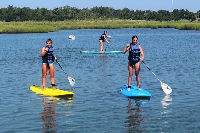 Stand Up Paddleboard Rental - Authentic Insights from the Reviews