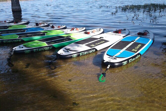 Stand Up Paddleboard Rentals - An Overview of the Chatfield Reservoir Paddleboarding Experience
