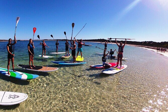 Stand Up Paddleboard Rentals - Customer Perspectives and Real-World Insights