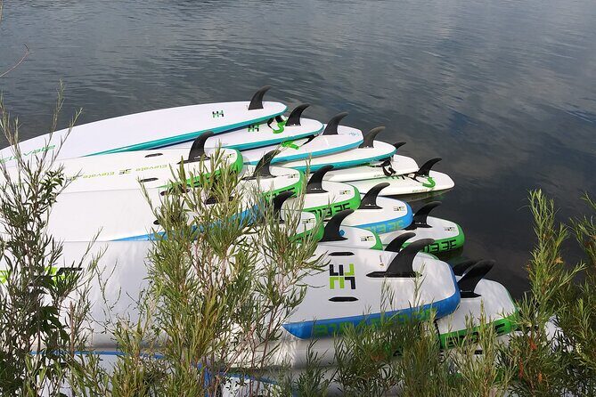 Stand Up Paddleboard Rentals - The Sum Up
