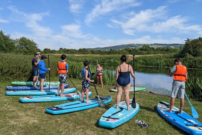 Stand-up Paddleboard SUP Safari on The River Avon For Beginners - Wildlife Spotting Opportunities