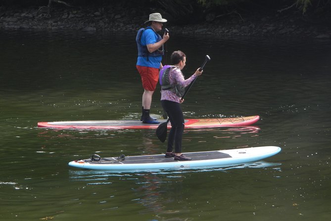 Stand up Paddleboard Tour With Complimentary Oyster Tasting - Tour Highlights