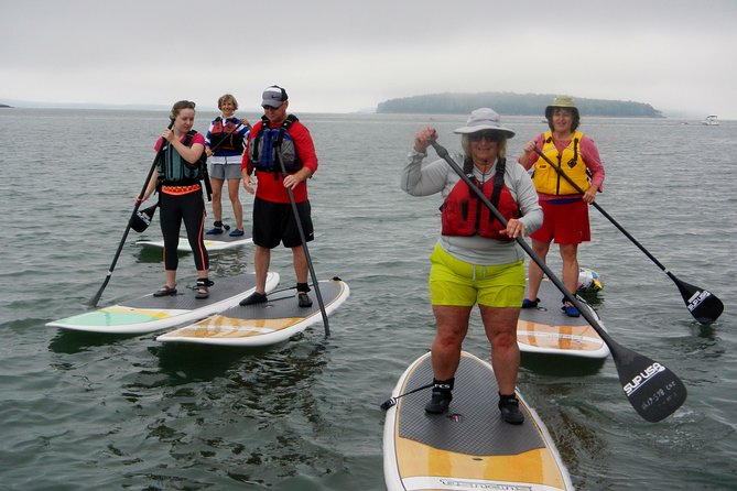 Stand up Paddleboard Tour With Complimentary Oyster Tasting - Oyster Tasting Experience