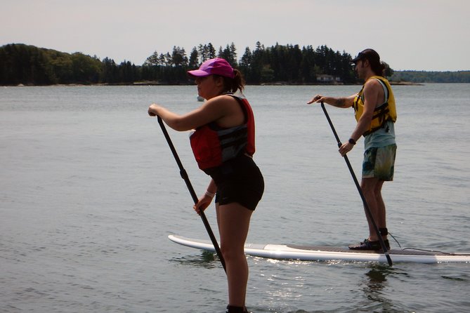 Stand up Paddleboard Tour With Complimentary Oyster Tasting - Pricing and Booking