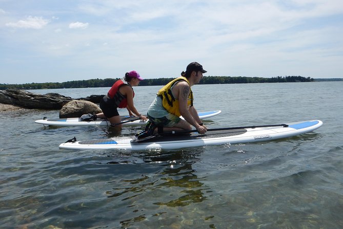 Stand up Paddleboard Tour With Complimentary Oyster Tasting - The Sum Up
