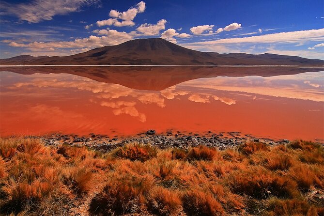 Standar 3 Days Uyuni Salt Flats and Colorfull Lagoons - Tour Highlights