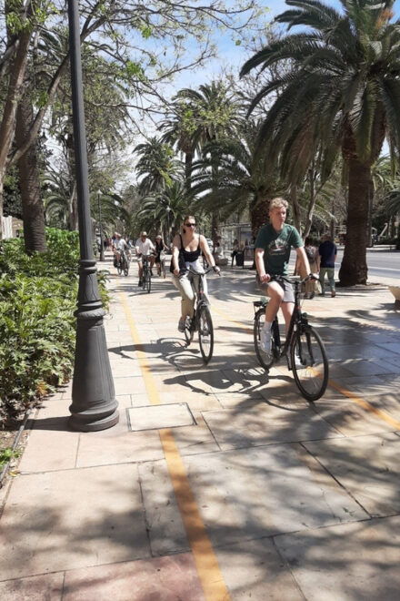 Standard Bike Guide Tour in Málaga Andalucía Spain - Price and Duration