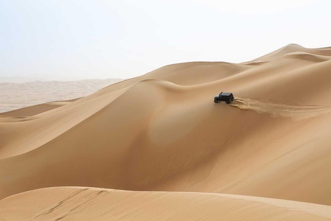 Standard Desert Safari, Camel Ride, BBQ Dinner, Belly Dance Show, Pick & Drop - Convenient Pick & Drop Service