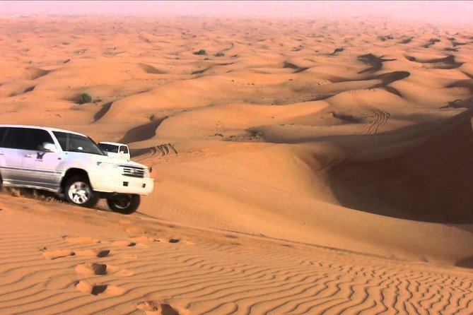 Standard Desert Safari, Camel Ride, BBQ Dinner, Belly Dance Show, Pick & Drop - Common Questions