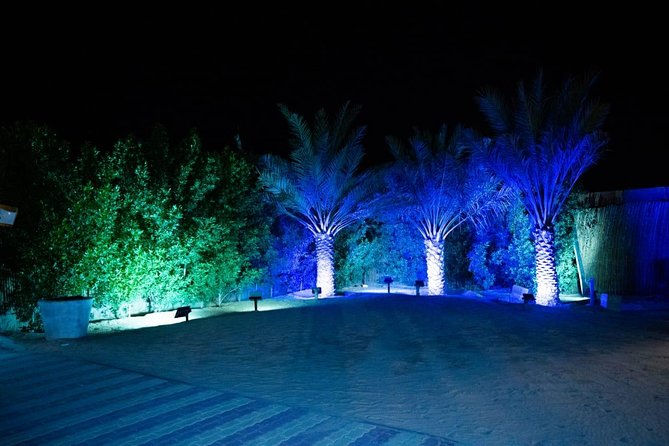 Standard Desert Safari, Camel Ride, BBQ Dinner, Belly Dance Show, Pick & Drop - Traveler Reviews