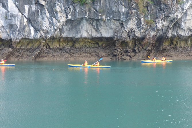 Standard Halong 2 Days 1 Night - Overnight on Cruise - Bai Tu Long Routine - Dining Experience