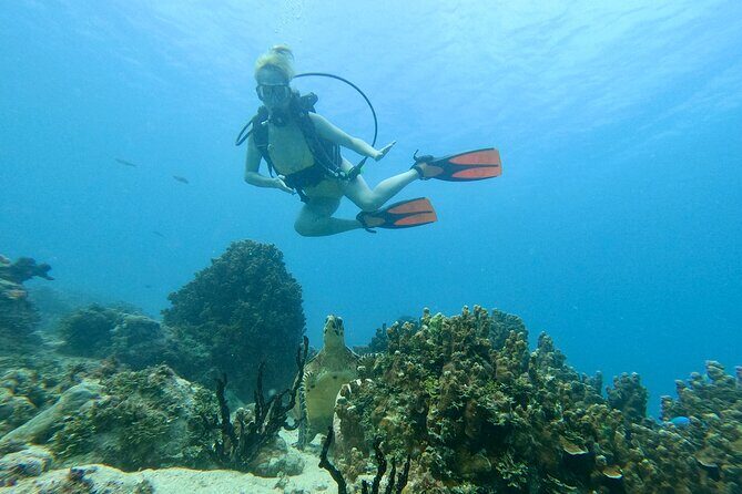 StandUp PaddleBoard Lesson and Experience Scuba Diving Package! - Good To Know