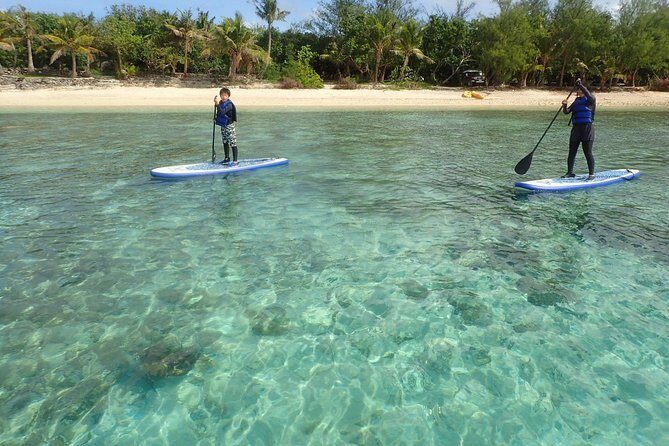 StandUp PaddleBoard Lesson and Experience Scuba Diving Package! - What Makes This Experience Special?