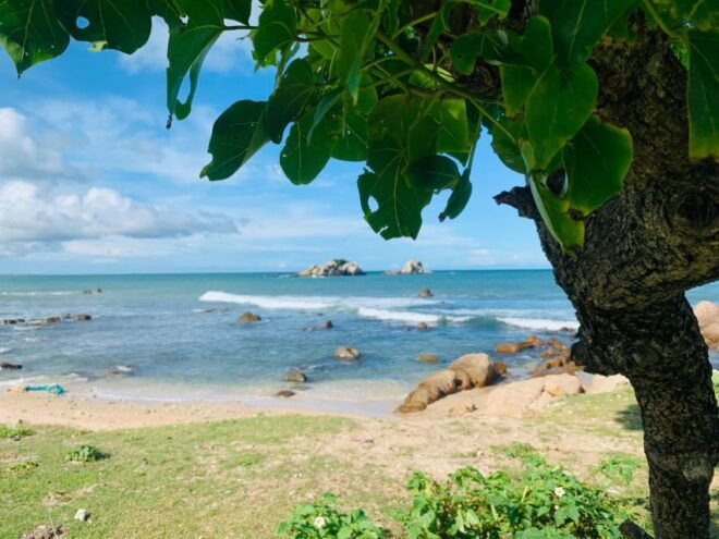 Standup Paddling in Negombo - Activity Provider