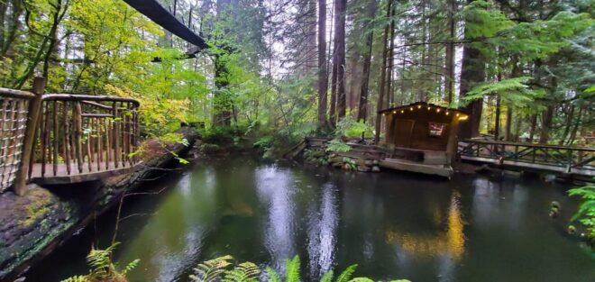 Stanley Pak-Capilano Susp Bridge & Grouse Mount Private Tour - Inclusions and Exclusions