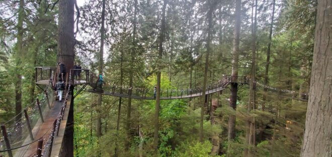 Stanley Pak-Capilano Susp Bridge & Grouse Mount Private Tour - Frequently Asked Questions