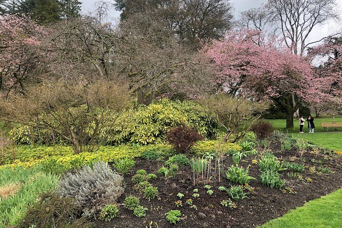 Stanley Park Bike Adventure with Lux Car Pick Up Affordable Easy - Authentic Experiences and Feedback