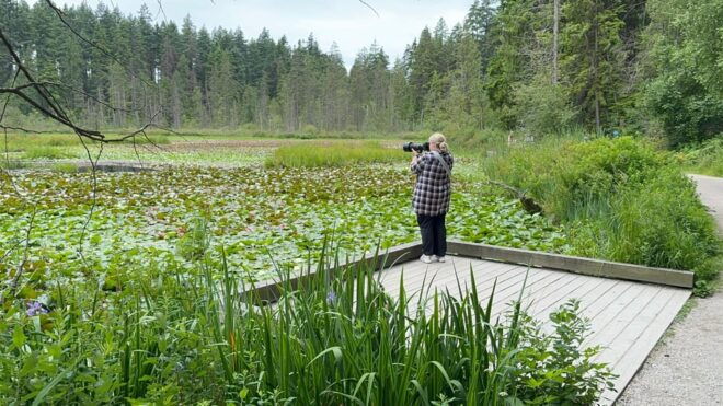 Stanley Park EUC & E-Scooters Loop Tour - Experience Details