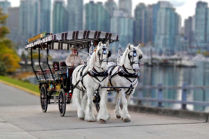 Stanley Park Horse-Drawn Tour - Booking and Cancellation Policy