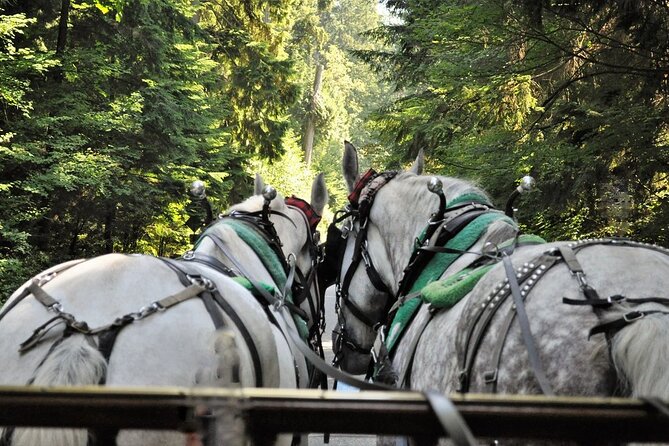 Stanley Park Horse-Drawn Tour - Traveler Tips