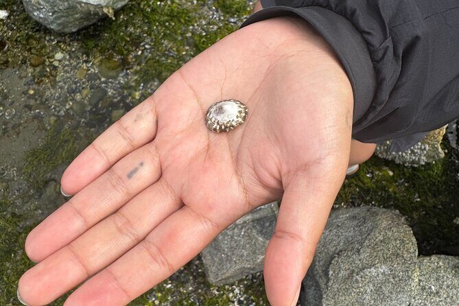 Stanley Park Indigenous Walking Tour Salish Sea and Me - Good To Know