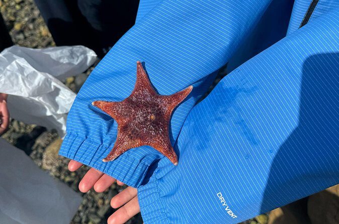Stanley Park Indigenous Walking Tour Salish Sea and Me - Who Will Love This Tour?