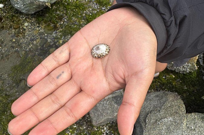 Stanley Park Indigenous Walking Tour Salish Sea and Me - Final Thoughts