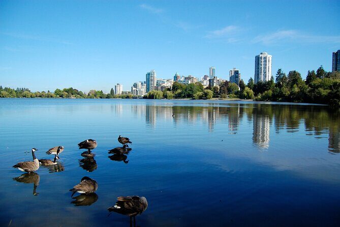 Stanley Park Self Guided Walking Tour - Frequently Asked Questions (FAQs)