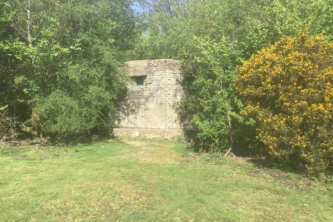 Stanmore Circular Private Walking Tour - Safety Measures During the Tour