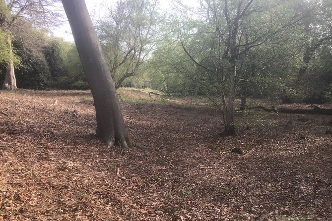 Stanmore Circular Private Walking Tour - The Sum Up