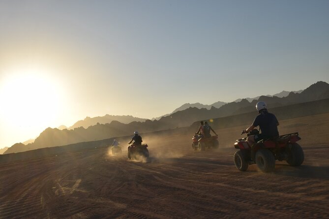 Star Gazing Astronomy Tour, With Dinner, Camel and Show - Sharm El Sheikh - Pricing Details