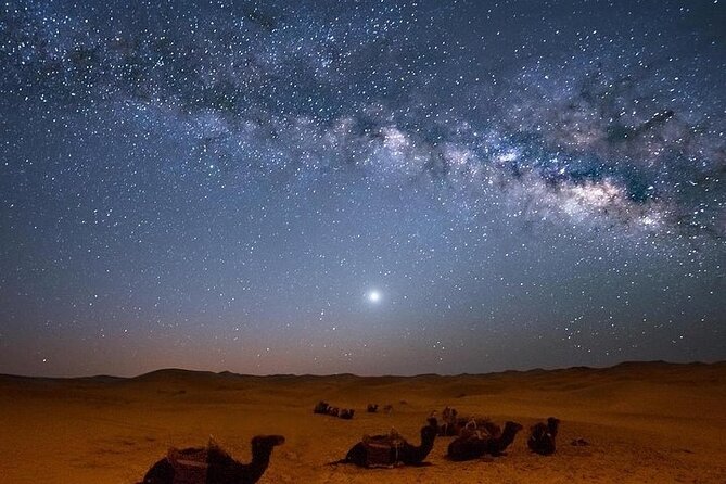 Star Gazing Safari Tour by ATV Quad, Bedouin Dinner, Telescope - Sharm El Sheikh - Tour Highlights