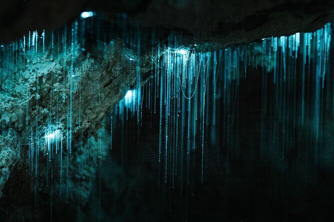 Starburst Cathedral deep inside Milky Way Glowworm Cave - Good To Know