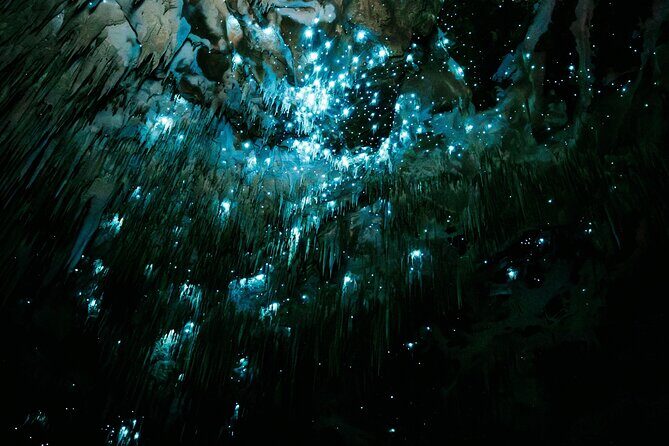 Starburst Cathedral deep inside Milky Way Glowworm Cave - Authentic Experiences and Insights from Reviewers