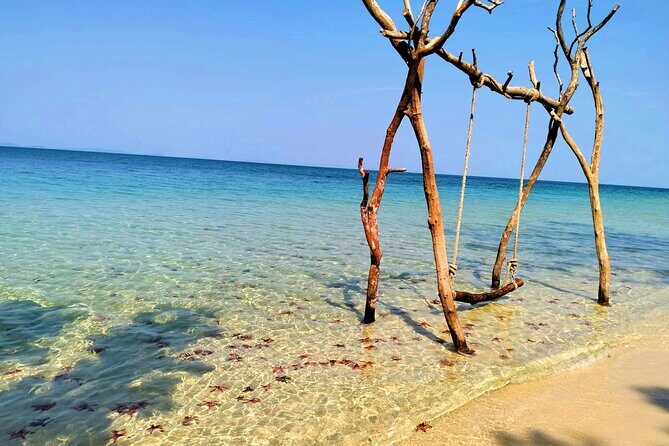 Starfish Beach and Floating Village Combo Boat Trip Seafood Lunch - Full Review: What to Expect from the Tour