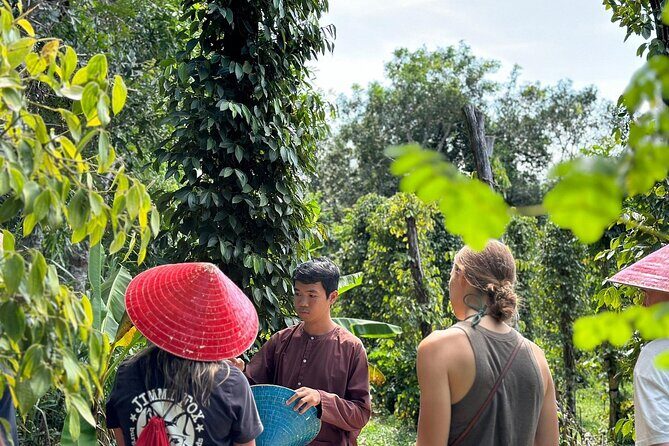 Starfish Beach and Northern Phu Quoc Private Discovery - Final Thoughts