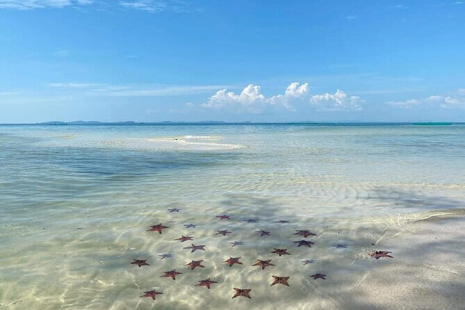 Starfish Beach Trip In Phu Quoc Island - Is This Tour Right for You?