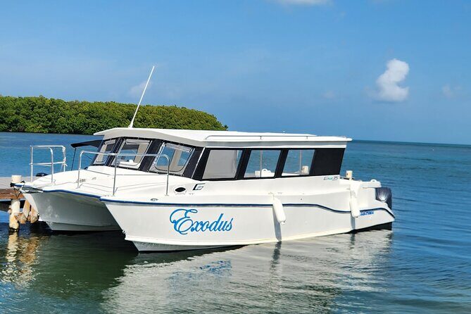 Starfish Encounter & Mangrove Exploration in Grand Cayman - Good To Know