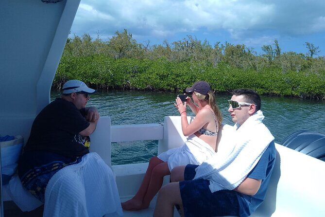 Starfish Encounter & Mangrove Exploration in Grand Cayman - A Closer Look at the Tour Experience