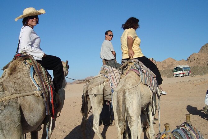 Stargazer + Camel Riding + Bedouin Dinner From Dahab - Customer Reviews