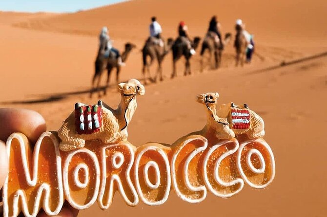 Stargazing and Camel Ride in the Agafay Desert - Frequently Asked Questions