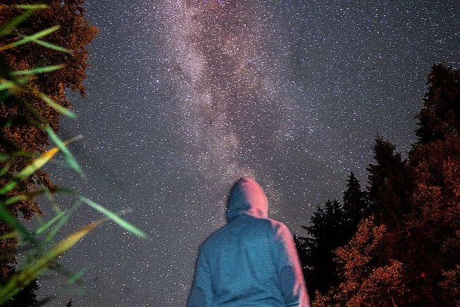 Stargazing in Sequoia National Park - Observation of the Night Sky and Constellations