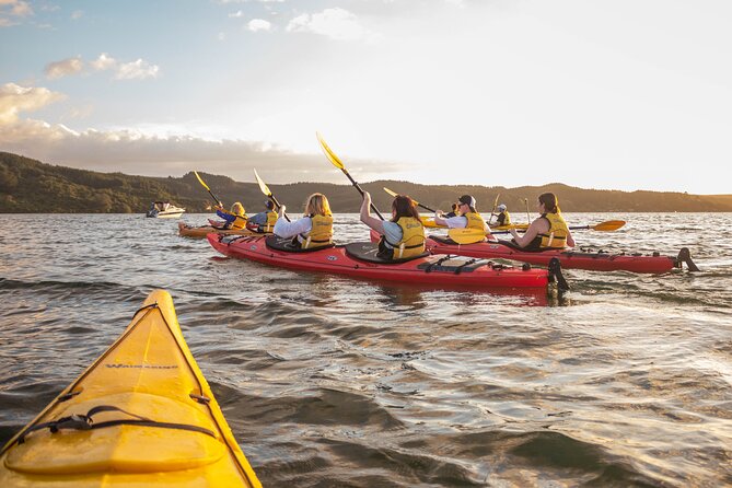 Starlight Gourmet Kayak Experience - Rotorua - Additional Information