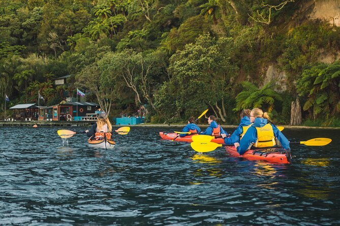 Starlight Gourmet Kayak Experience - Rotorua - Questions and Price Information