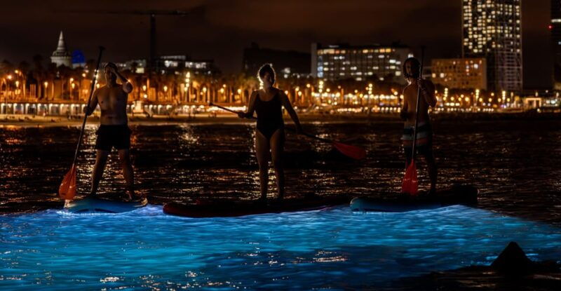 Starlight Paddlesurf During the Night in Barcelona - Exploring the Barceloneta Beach Launchpad