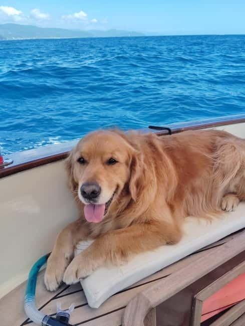 Starlit Luxury Boat Charter with Aperitif in Portofino - Practicalities and Value
